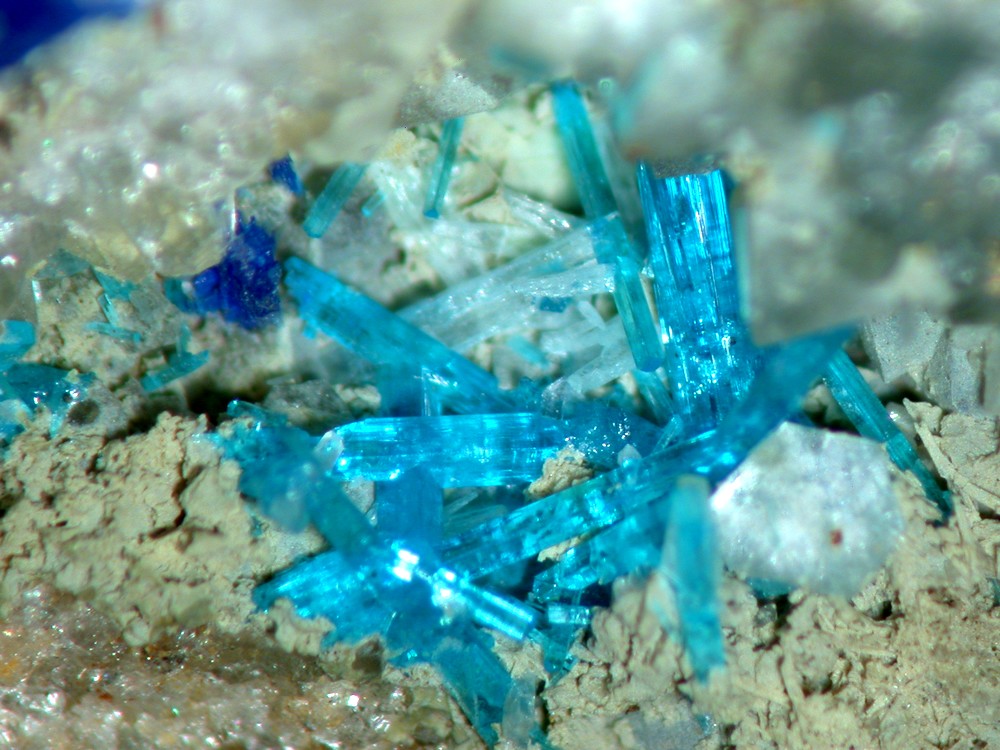 Caledonite Susannite & Linarite