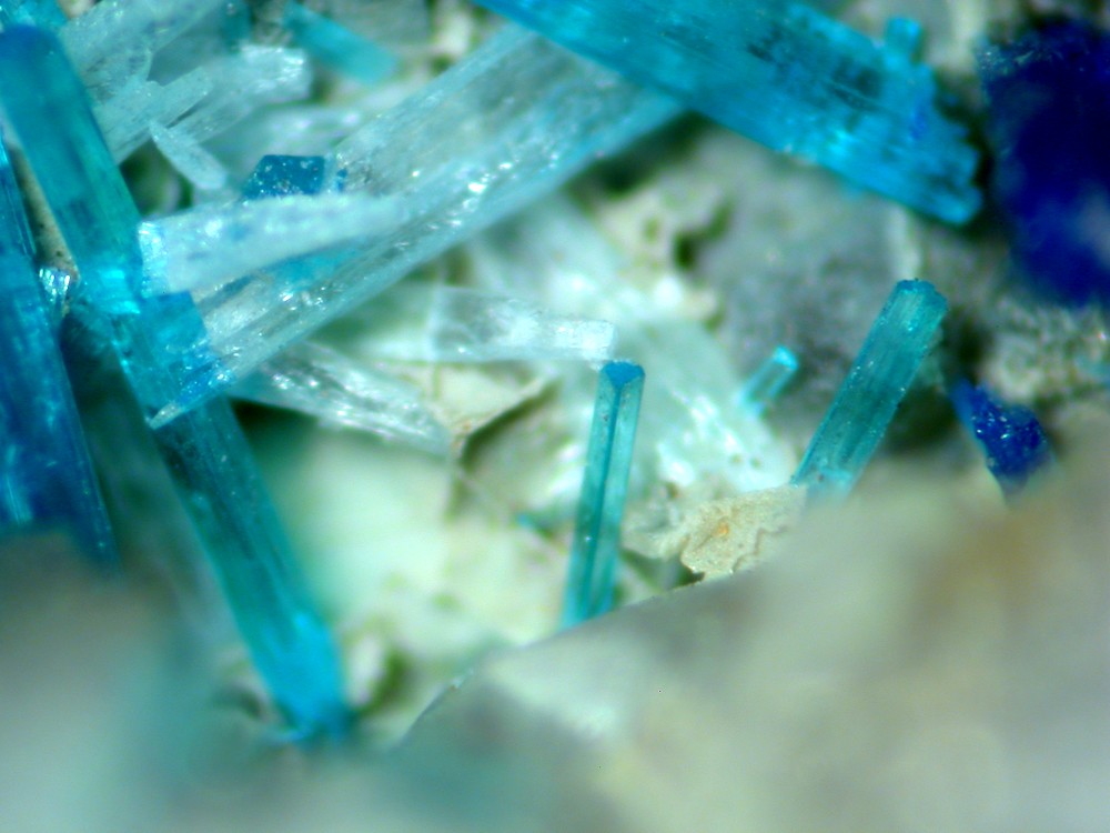 Caledonite Susannite & Linarite