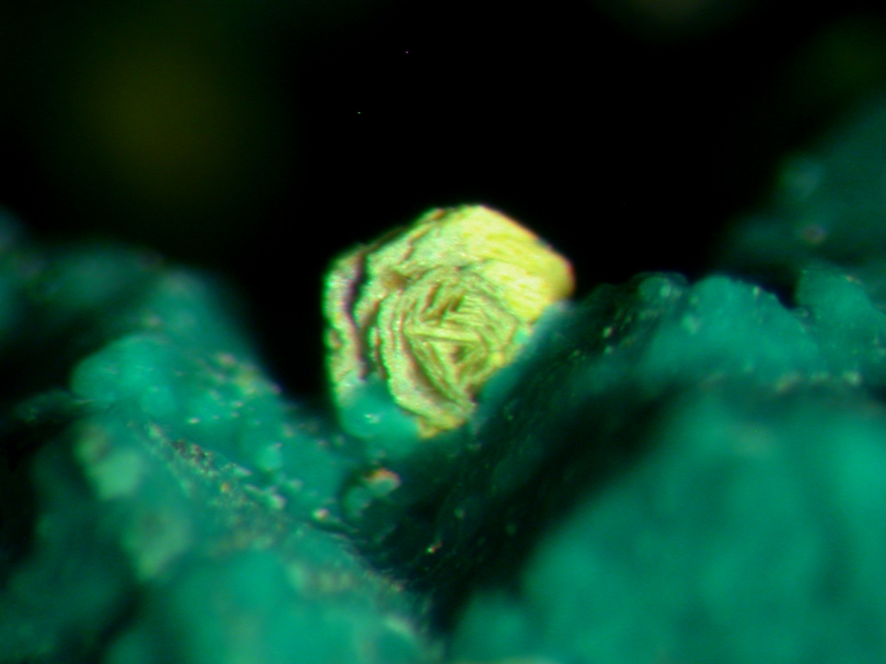 Malachite Psm Cuprite Azurite & Volborthite