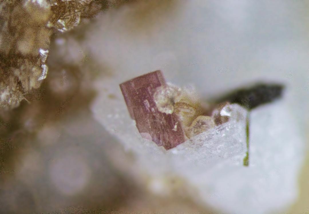 Petarasite