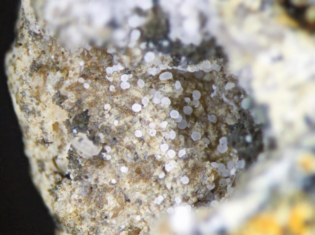 Hemimorphite