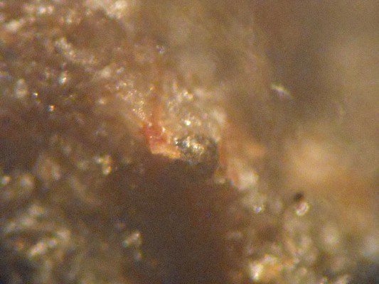 Armangite