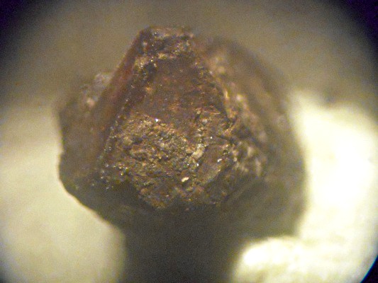 Hauerite