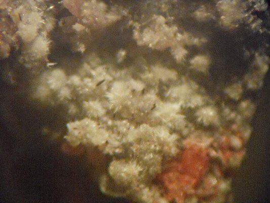 Demicheleite-(Br) & Adranosite-(Al)