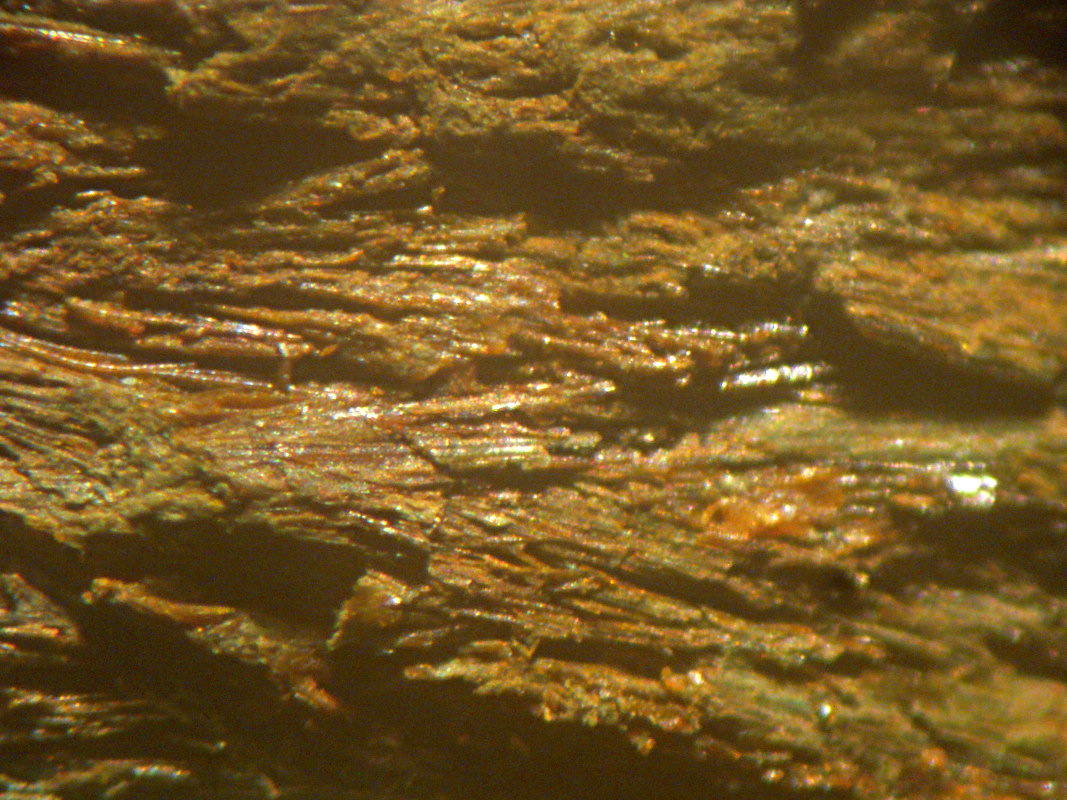 Lefontite
