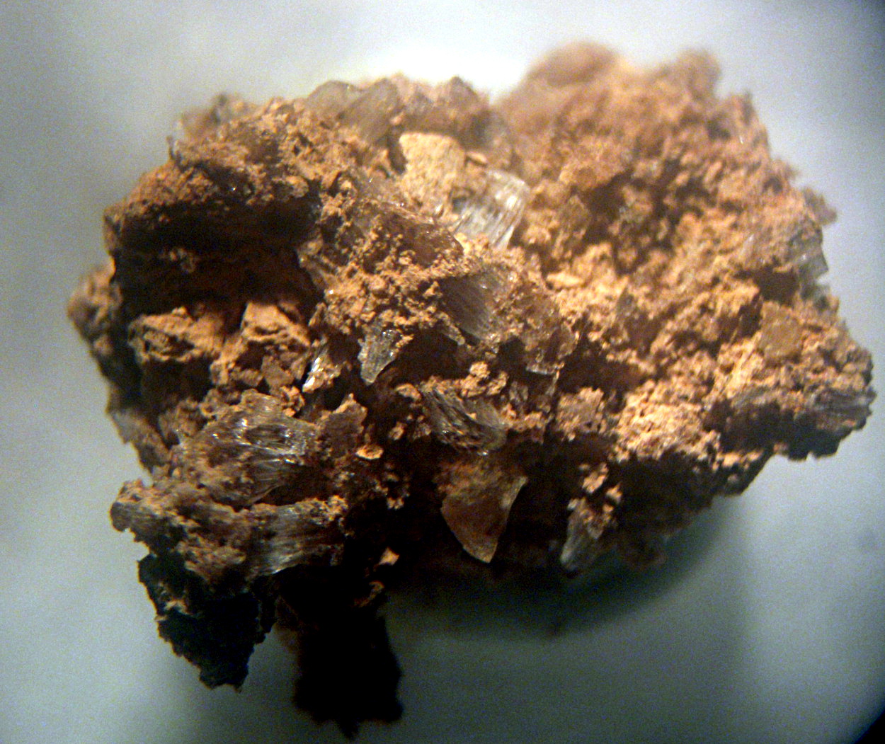 Newberyite