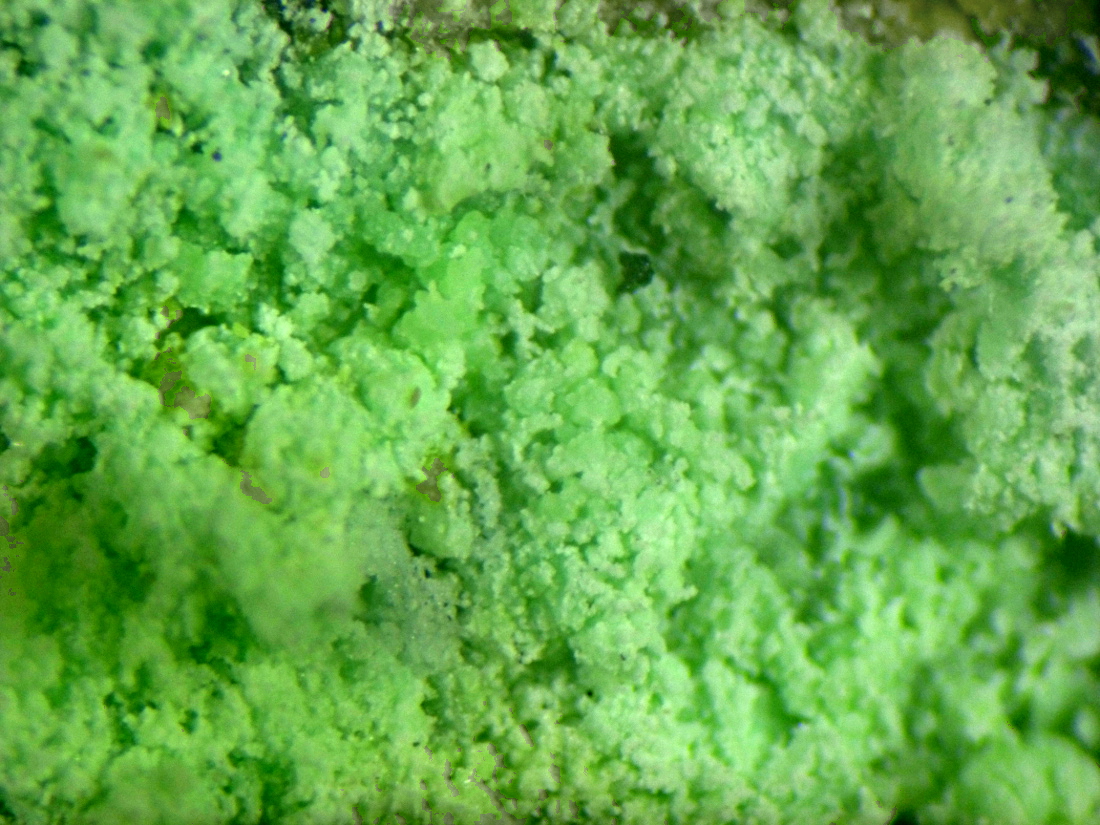 Retgersite