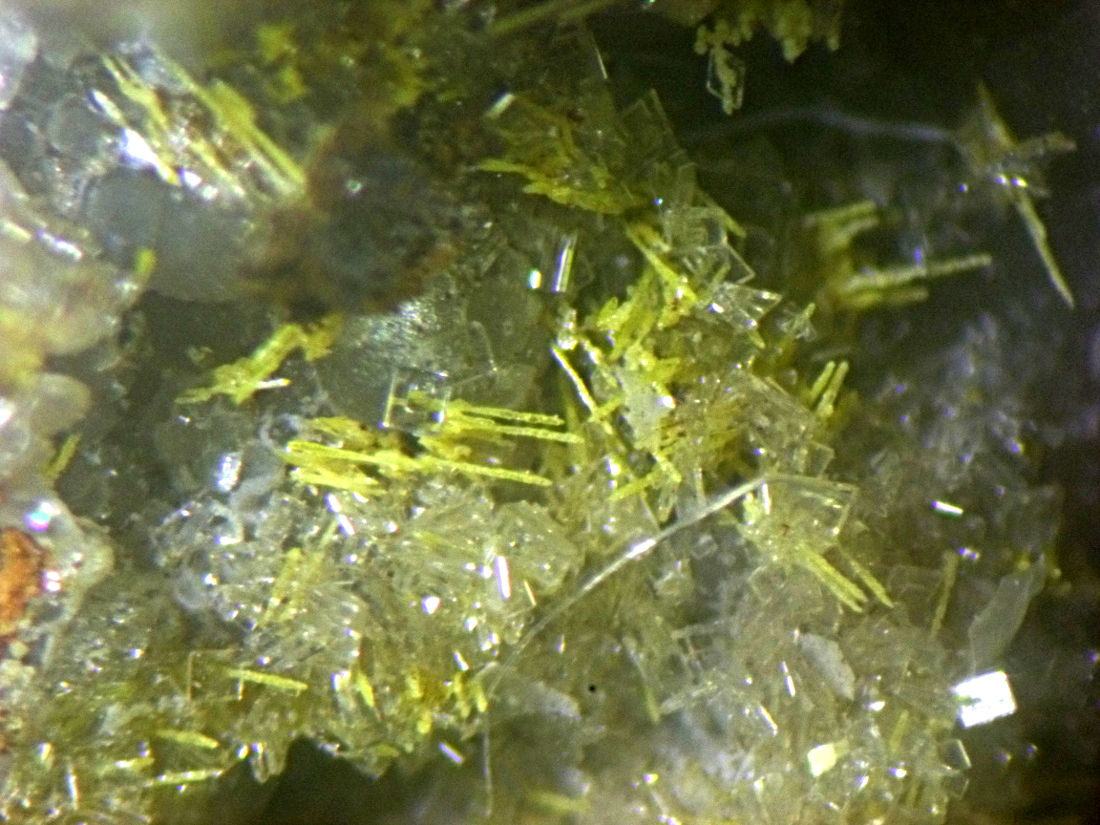 Wulfenite