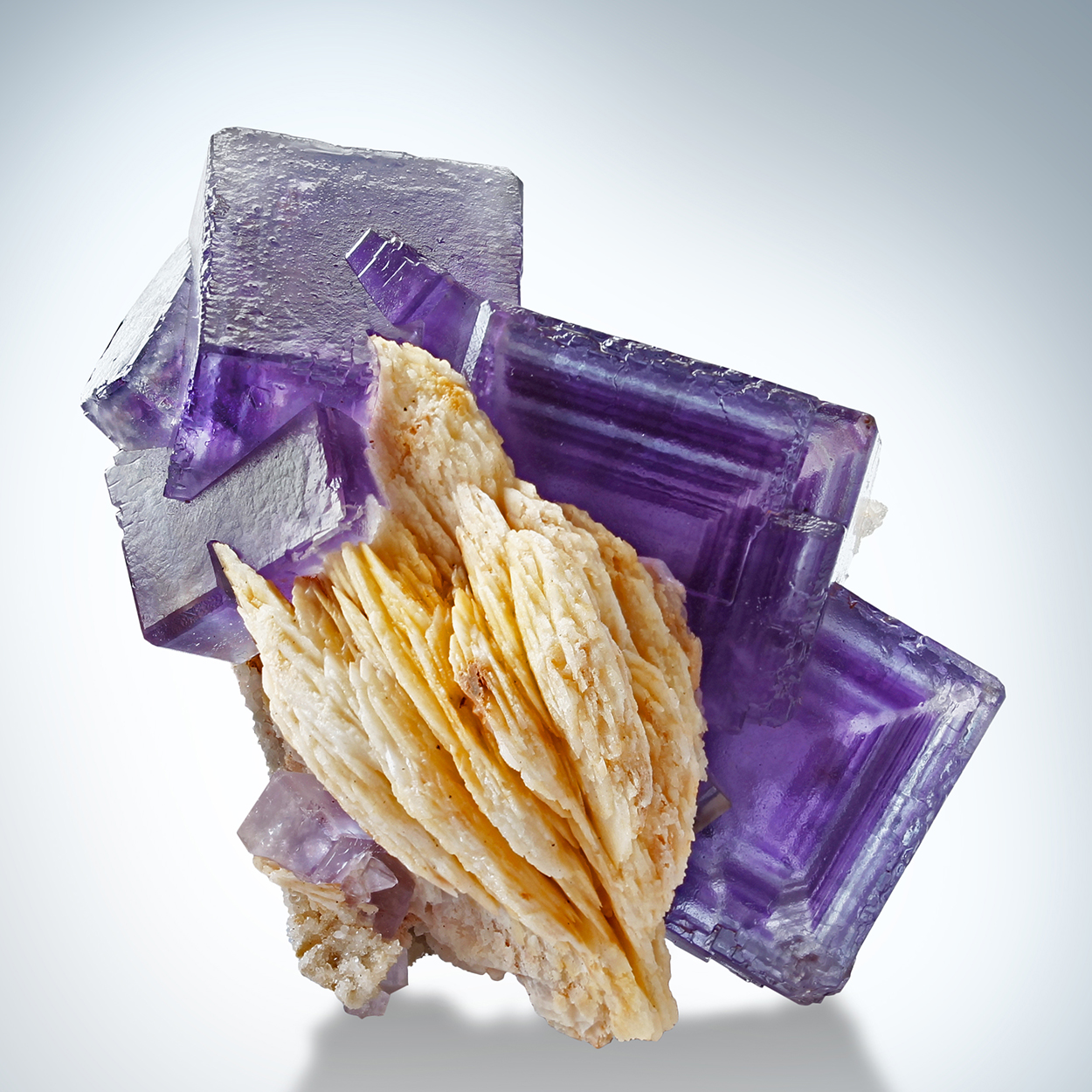 Fluorite & Baryte