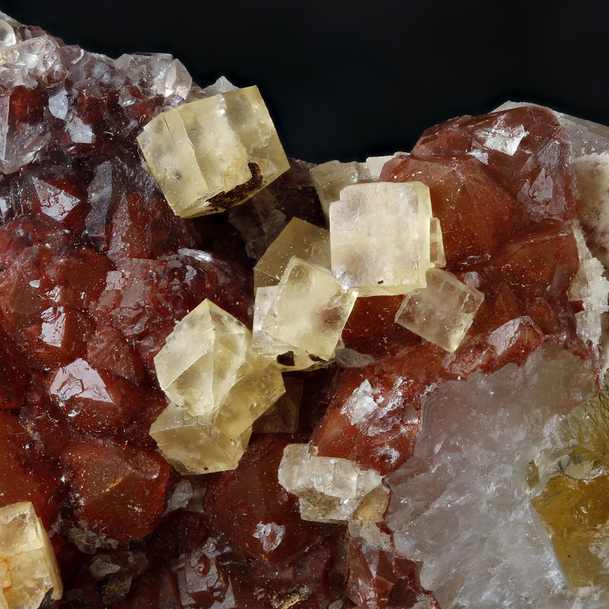 Fluorite & Quartz