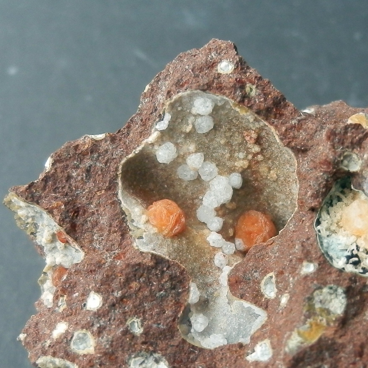 Phacolite