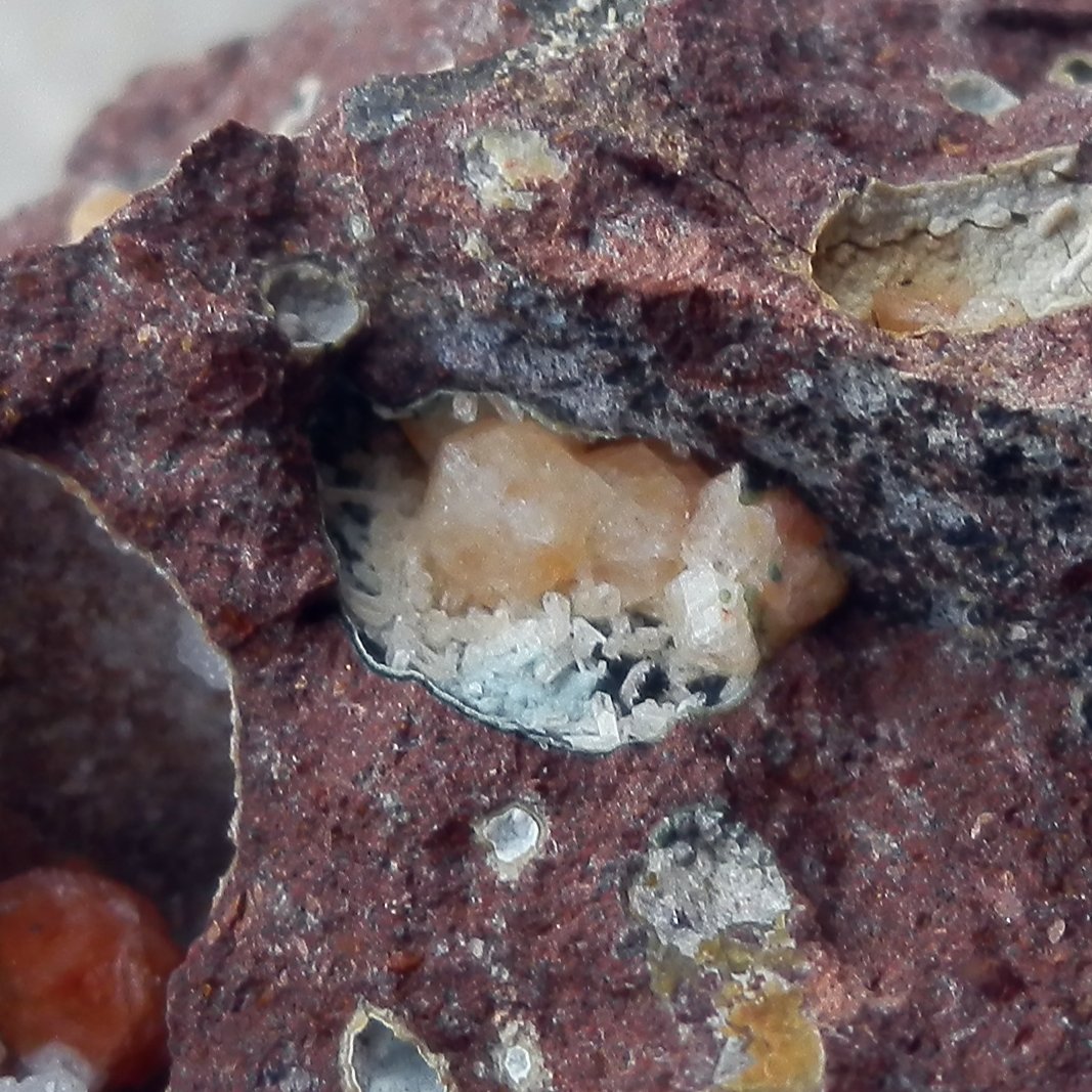 Phacolite