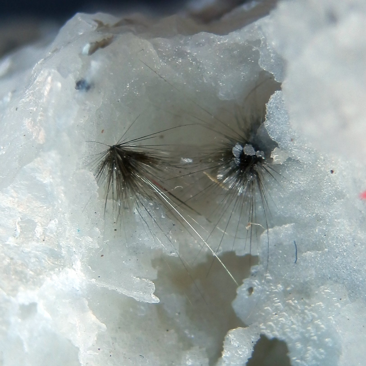 Millerite