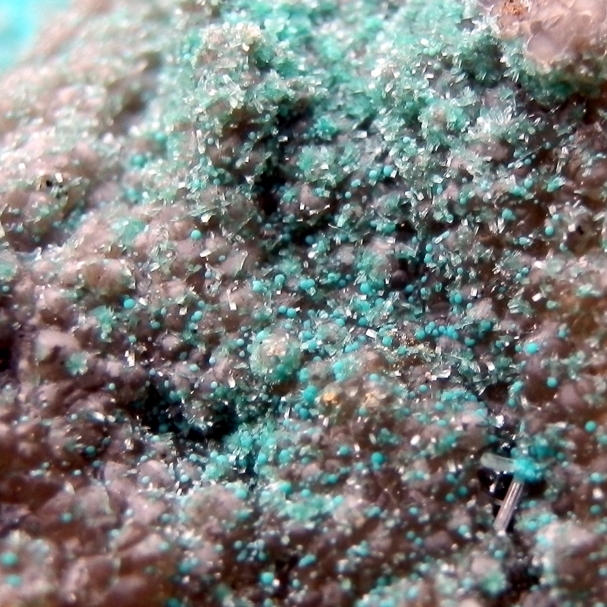 Rosasite Aurichalcite Cerussite & Smithsonite