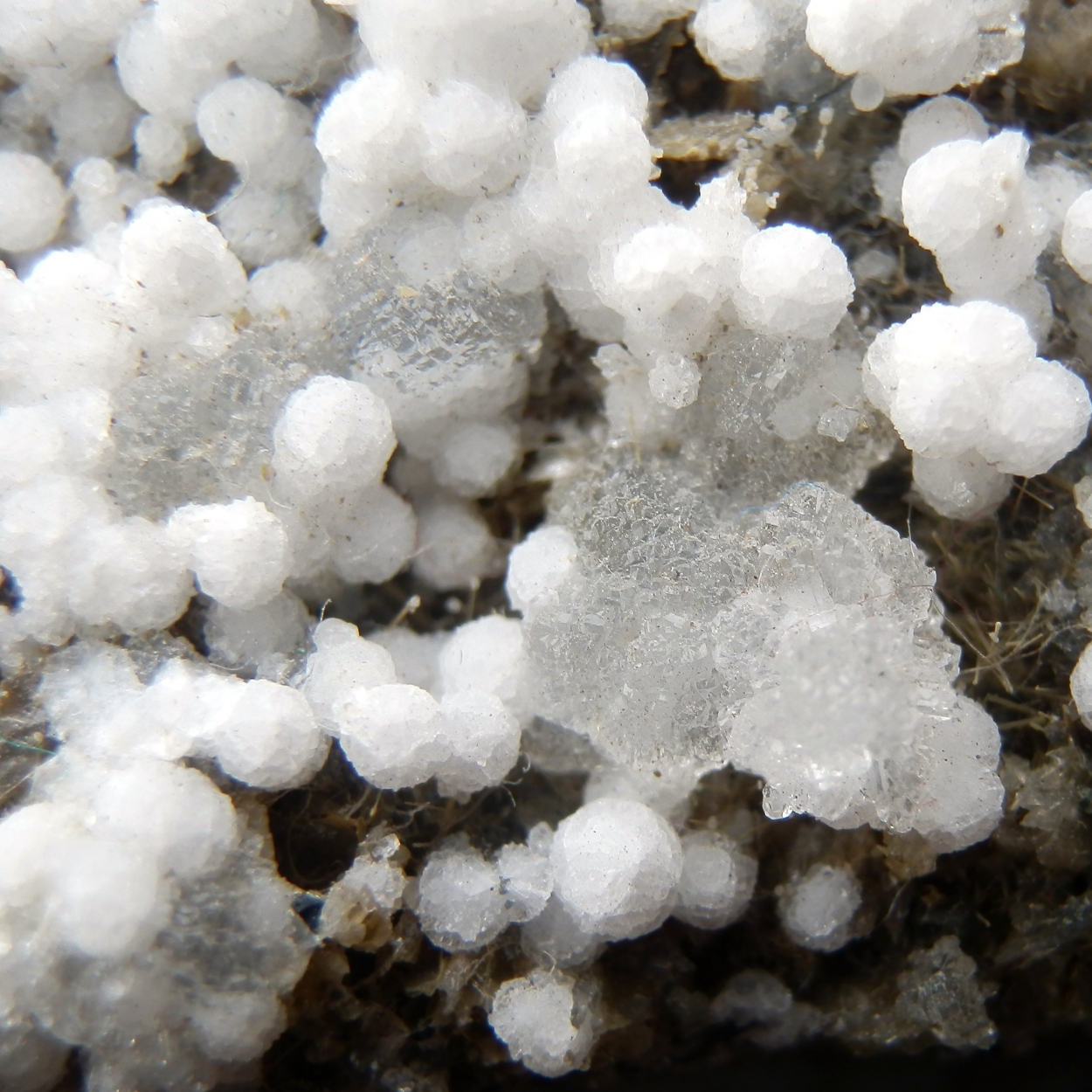 Phillipsite & Chabazite