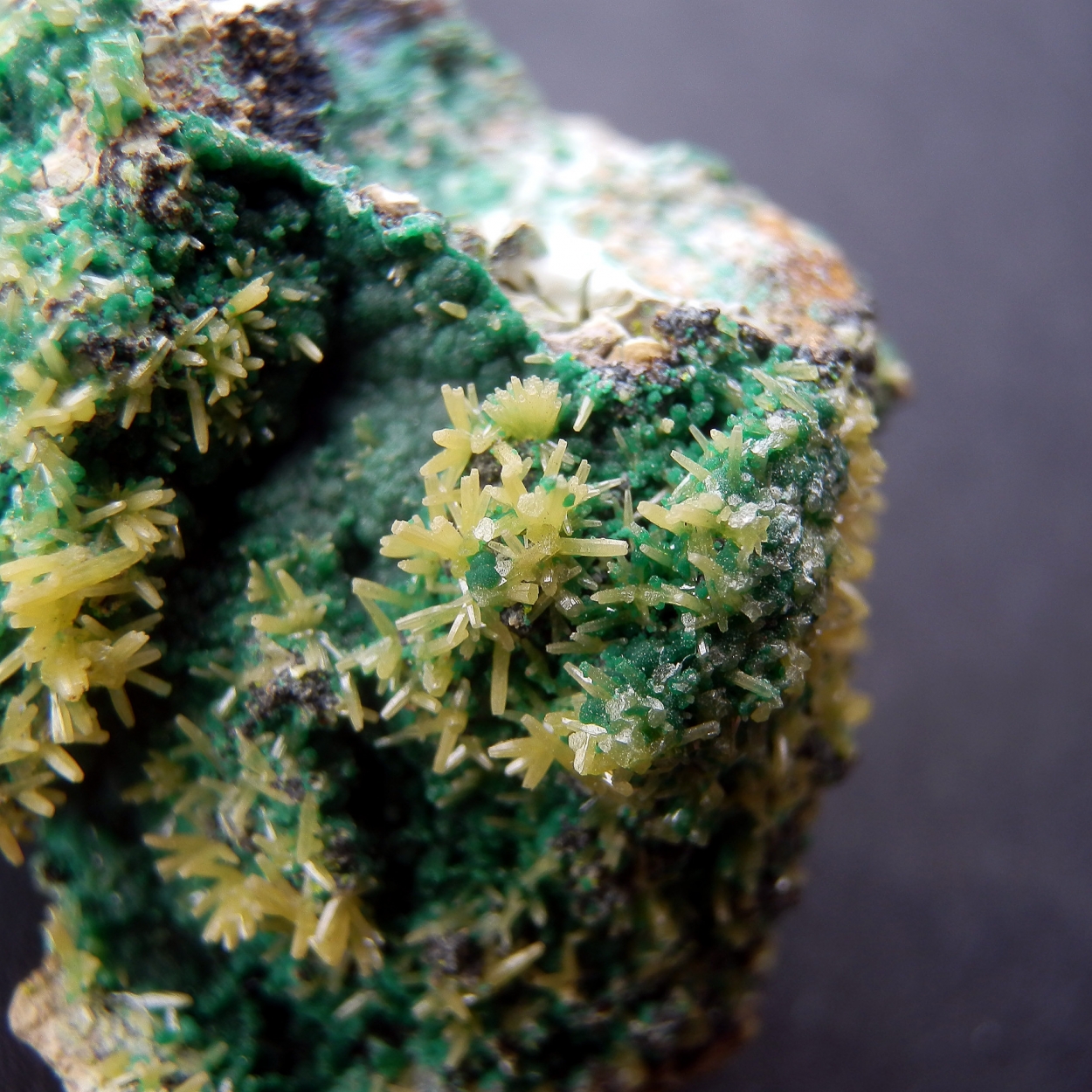 Pyromorphite & Pseudomalachite