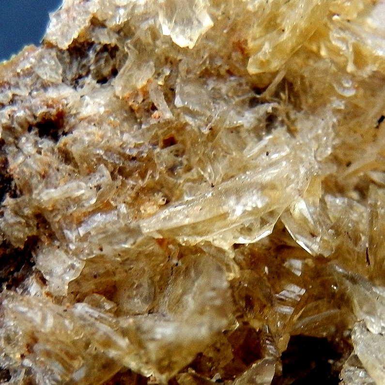 Whewellite