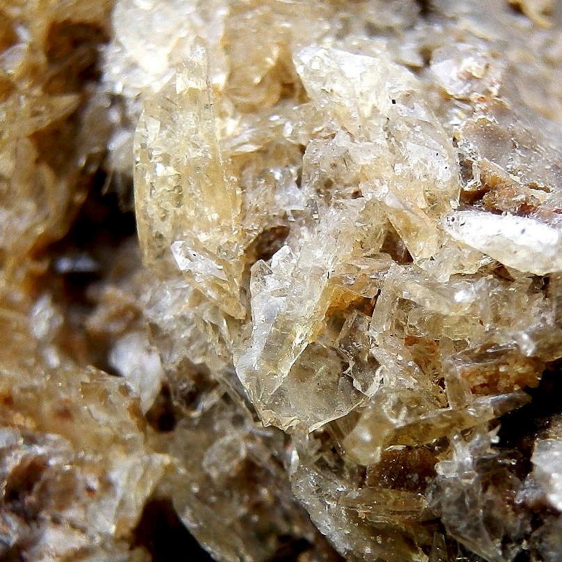 Whewellite