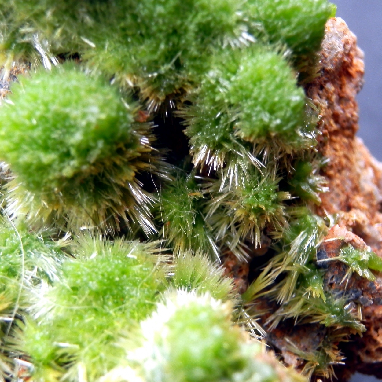 Pyromorphite