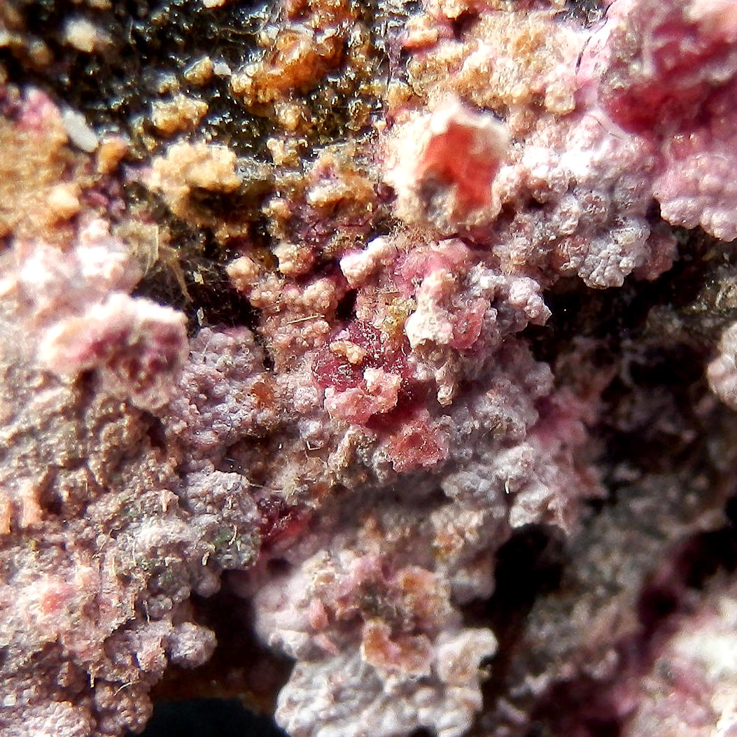 Erythrite