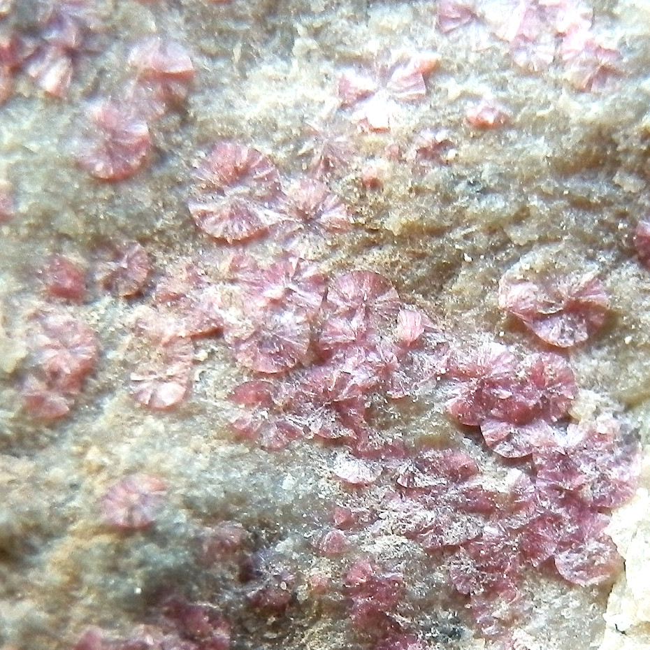 Annabergite