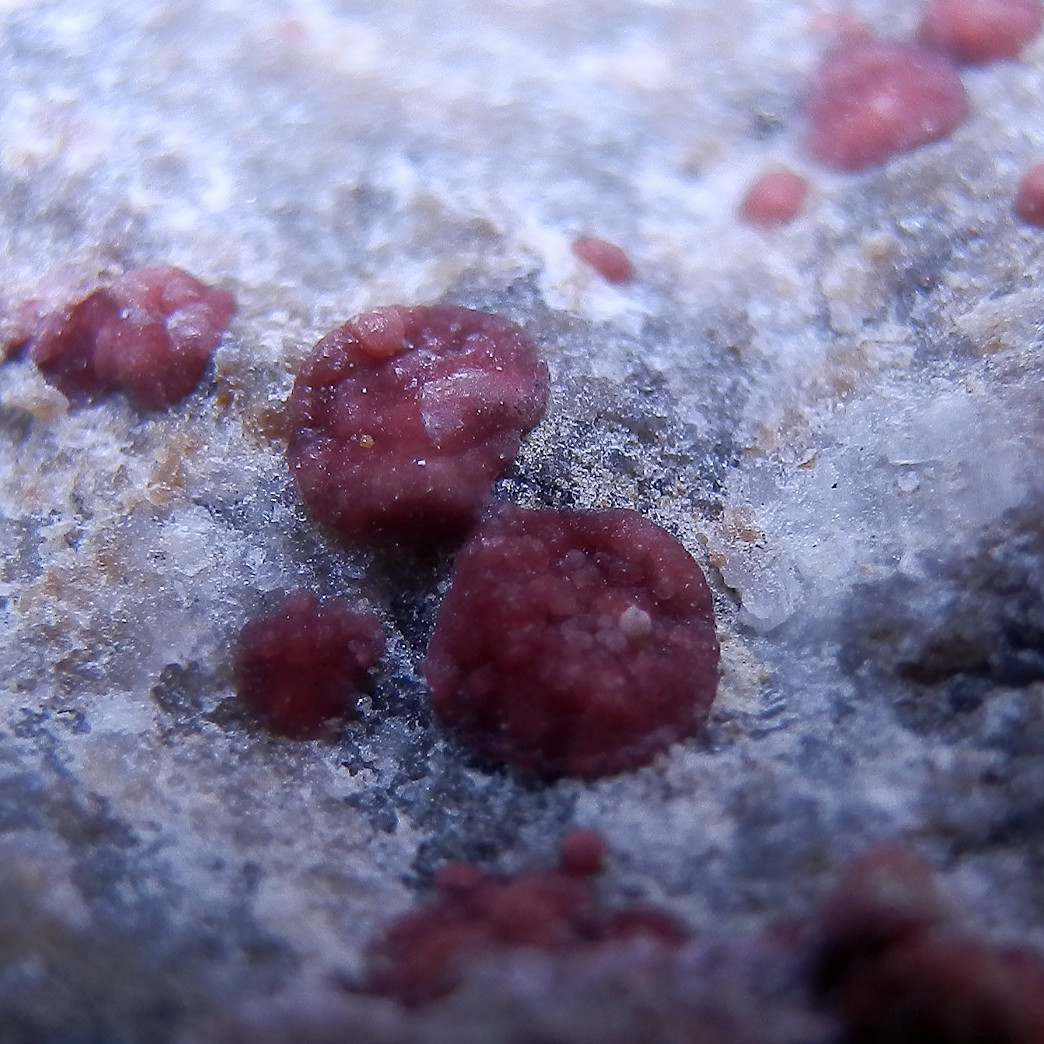 Annabergite