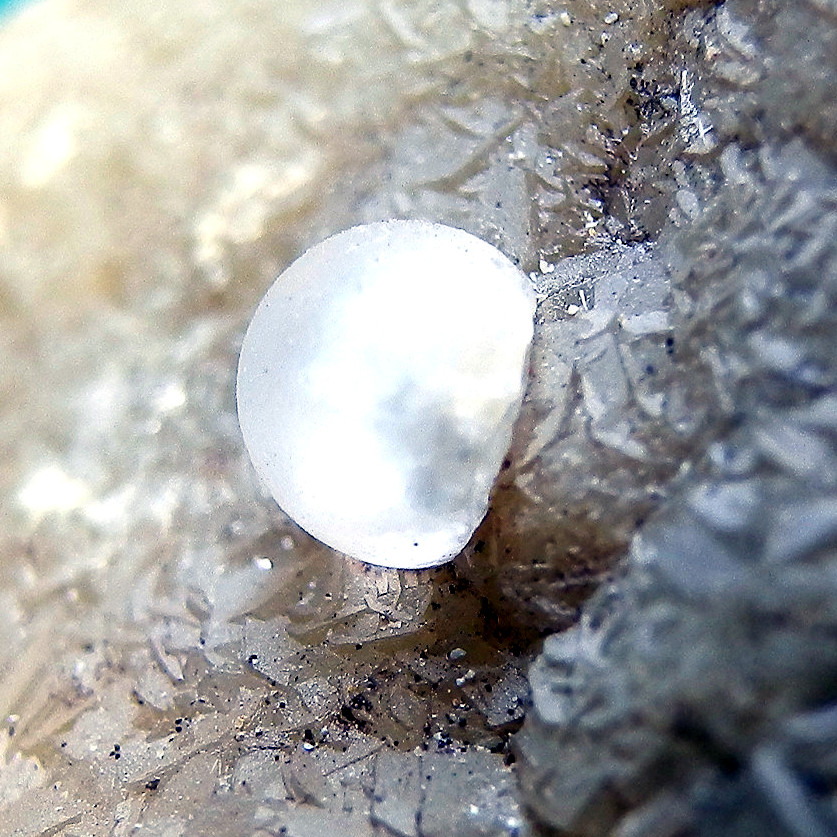 Melanophlogite