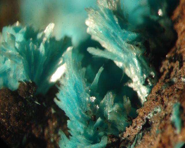 Aurichalcite & Goethite