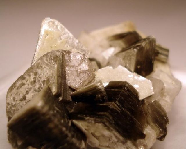 Fluorapatite With Adularia On Muscovite