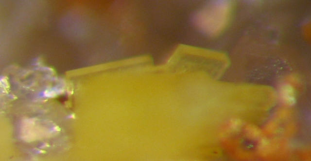 Orthowalpurgite