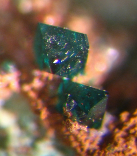 Paratacamite