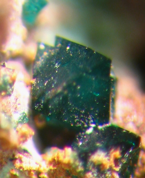 Paratacamite