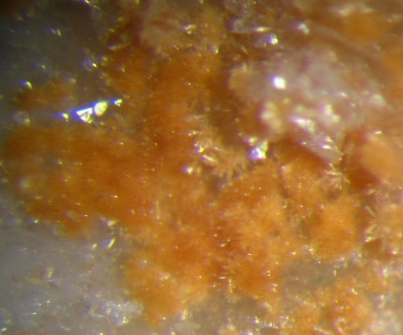 Rhabdophane-(Nd)
