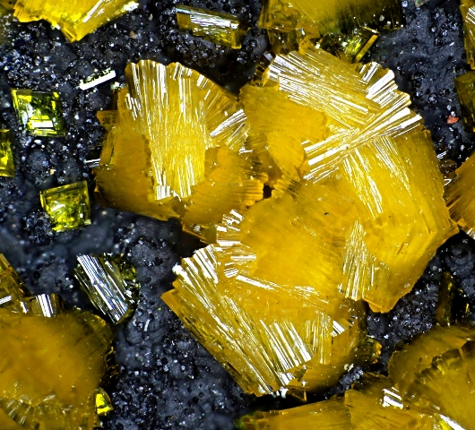 Francevillite Chervetite & Mounanaite