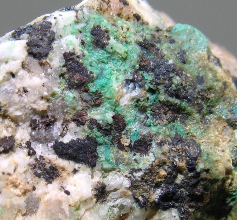 Cervelleite