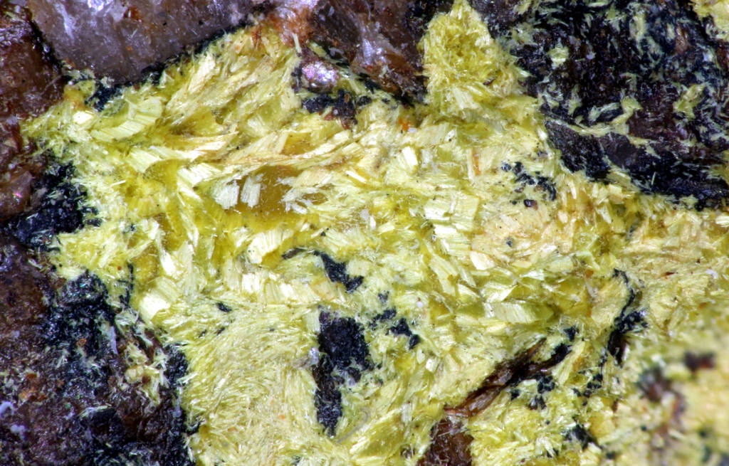 Ferrimolybdite & Molybdenite