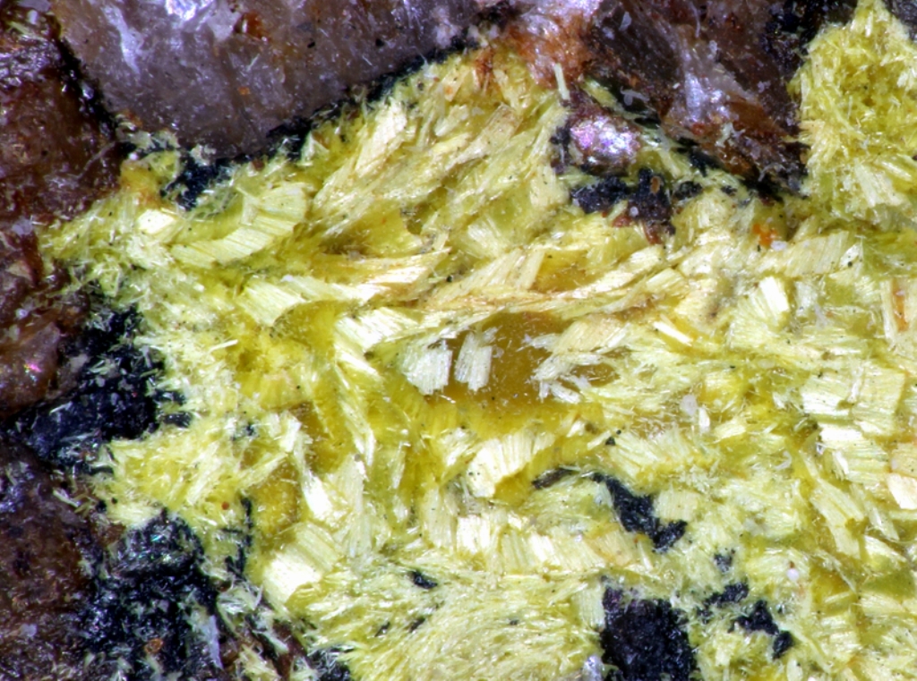 Ferrimolybdite & Molybdenite