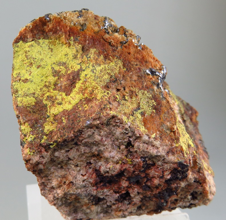 Ferrimolybdite & Molybdenite