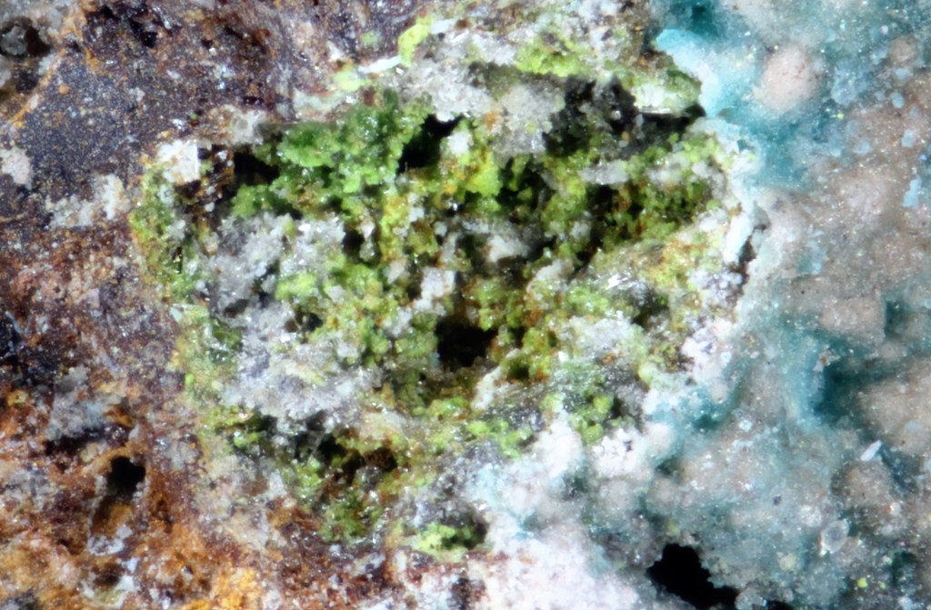 Favreauite & Alfredopetrovite