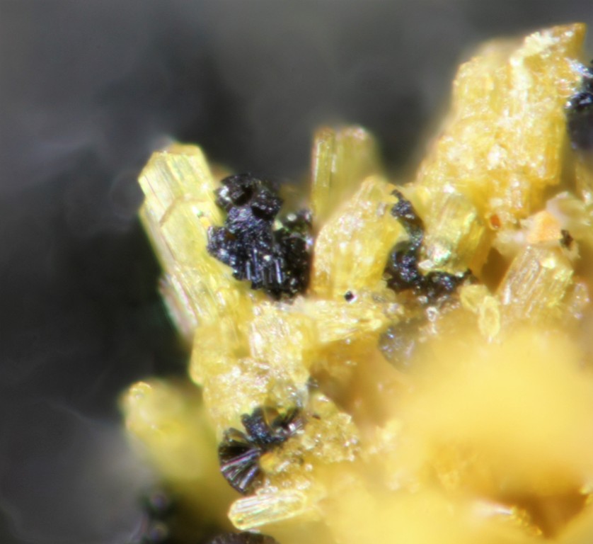 Earlshannonite Jahnsite & Strunzite