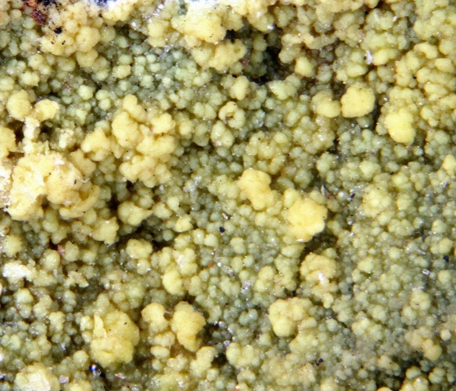 Iriginite