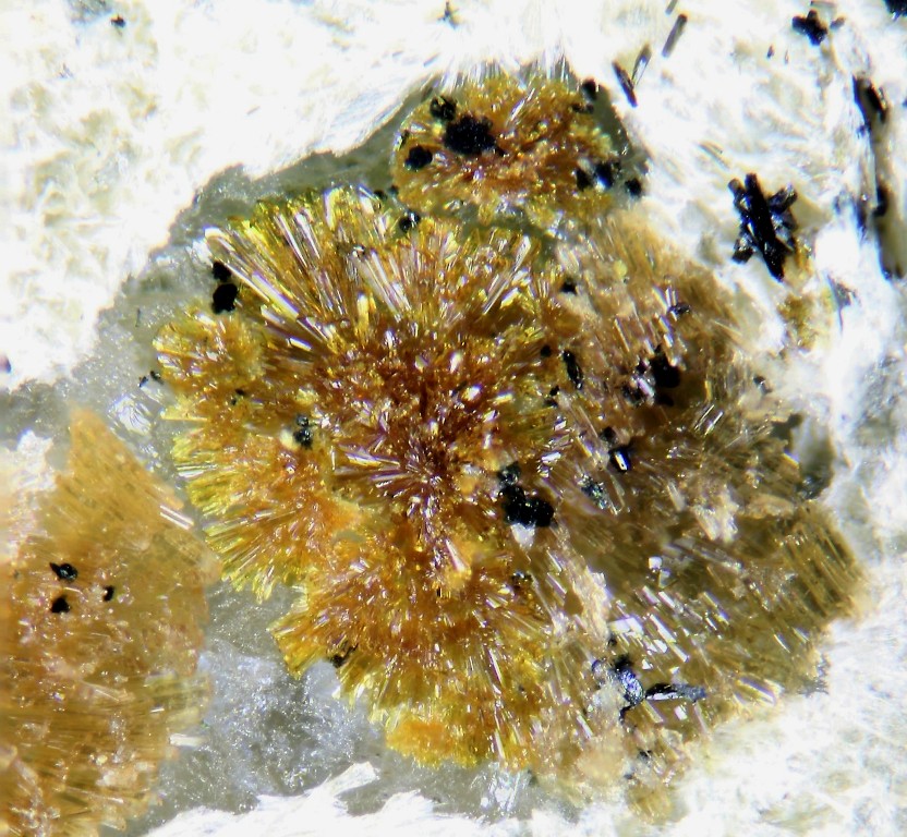 Earlshannonite