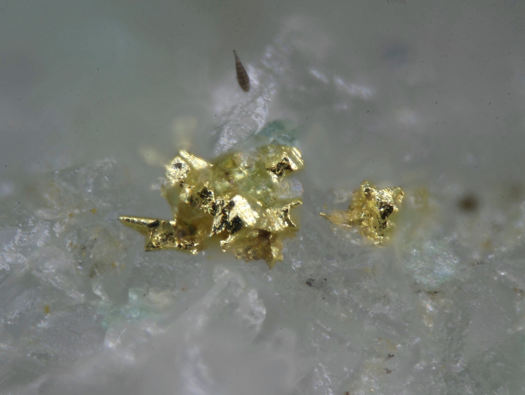 Native Gold