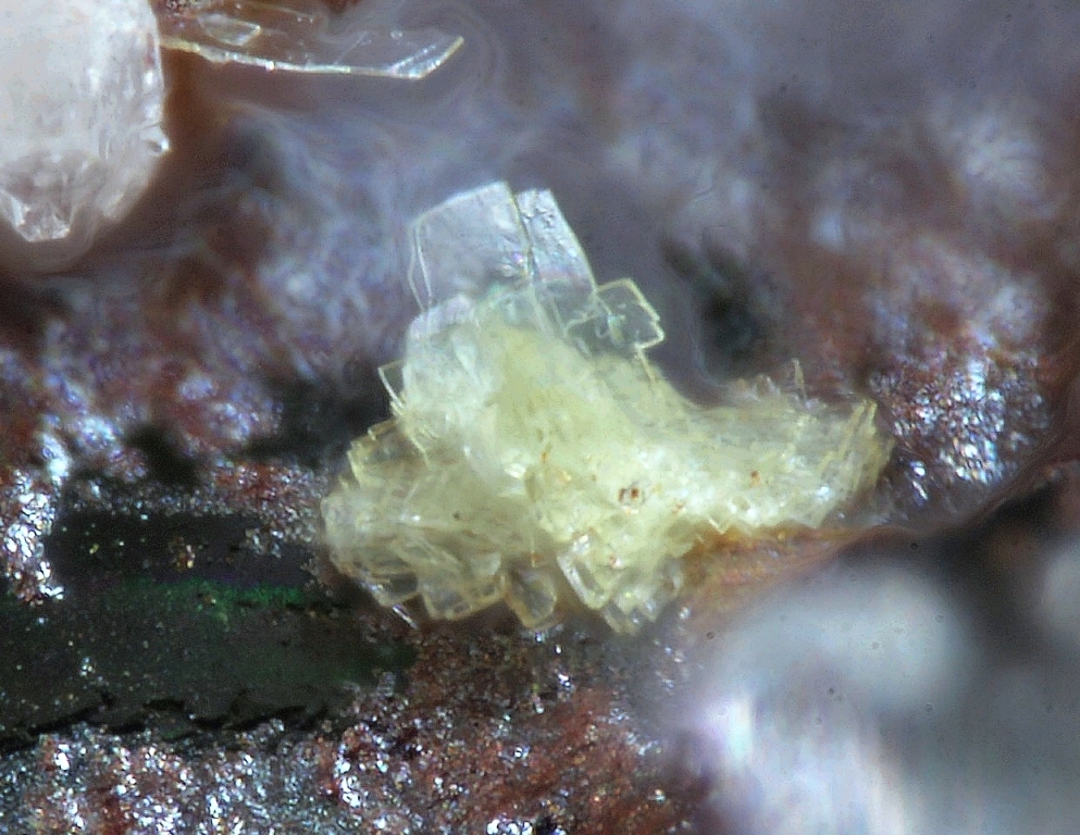 Metalodèvite