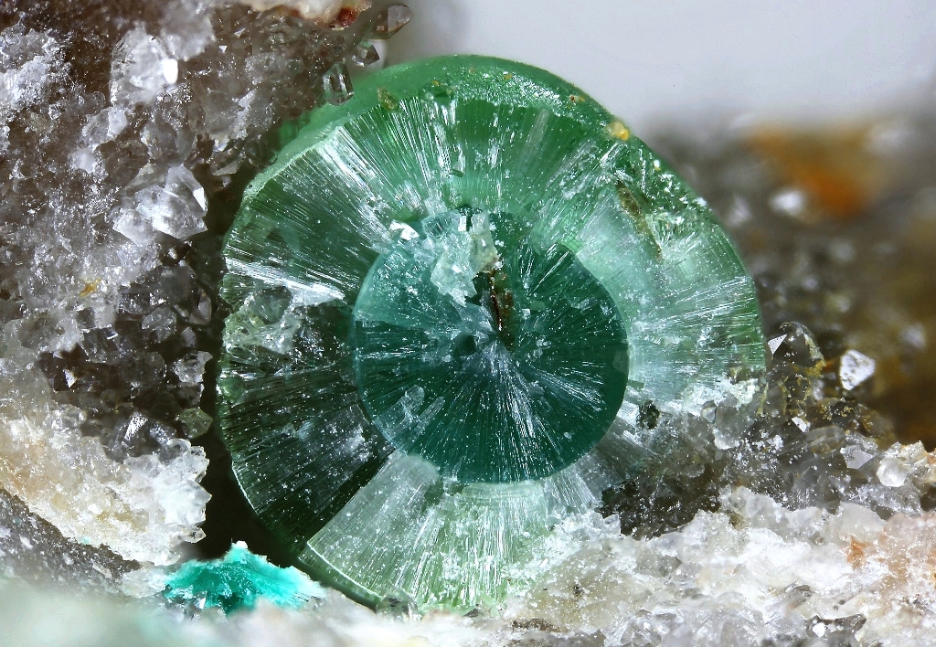Eulytine