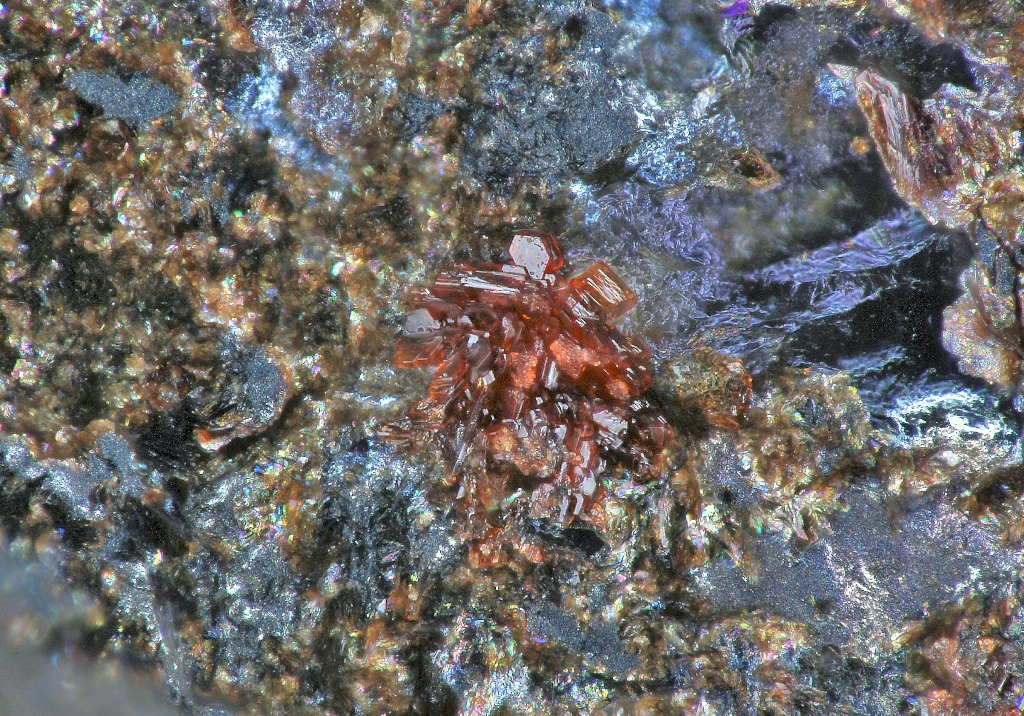 Coralloite & Wallkilldellite