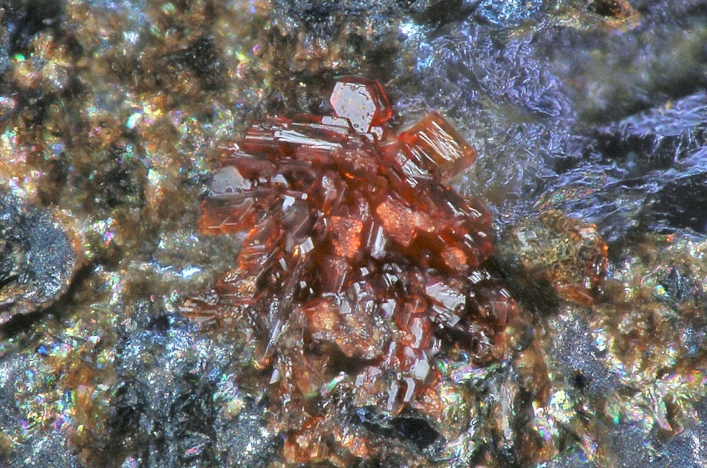 Coralloite & Wallkilldellite