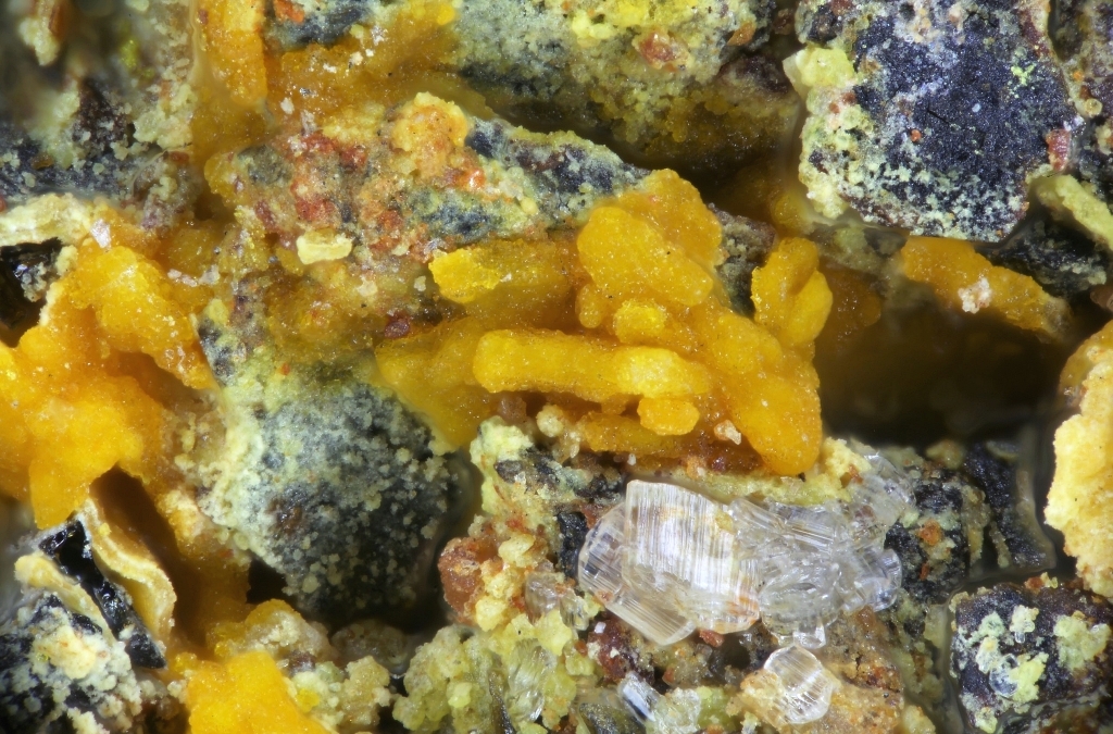 Kroupaite Metaschoepite & Uranopilite