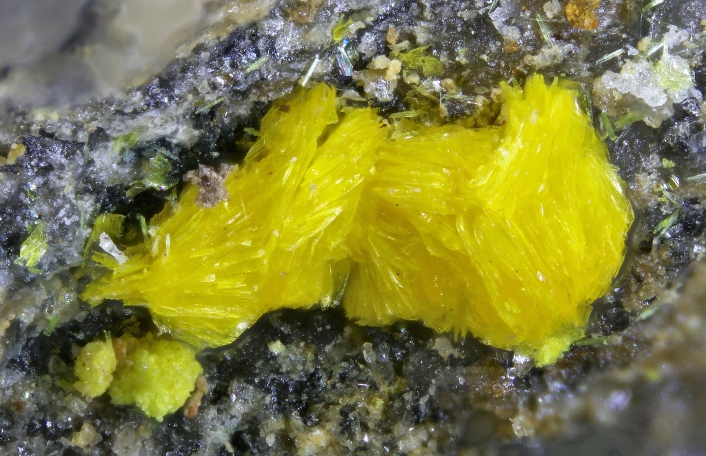 Rabejacite & Uranopilite