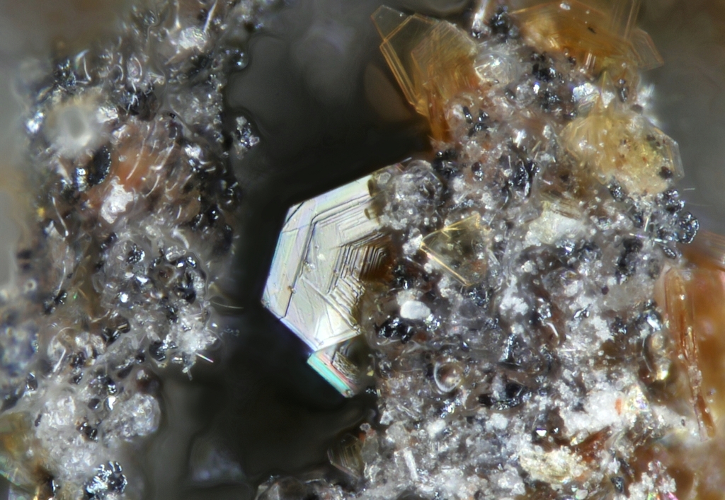 Fluorophlogopite